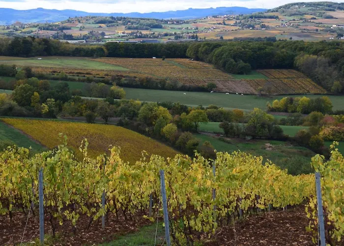 Casa Vigna 4*