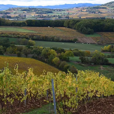 Casa Vigna 4*