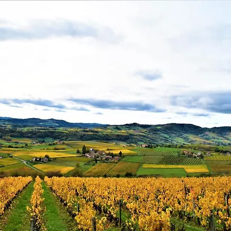 Bed & Breakfast Casa Vigna *